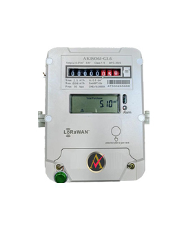 Smart GAS Meter